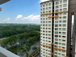 Evergreen Park (D19), Apartment #585606541